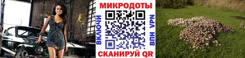 Псилоцибиновые грибы Cubensis даркнет Telegram Цоци-Юрт MEGA tor