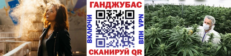 сколько стоит  Цоци-Юрт  Бошки марихуана Ganja 